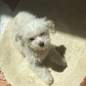 Meet your Posher, Matthew